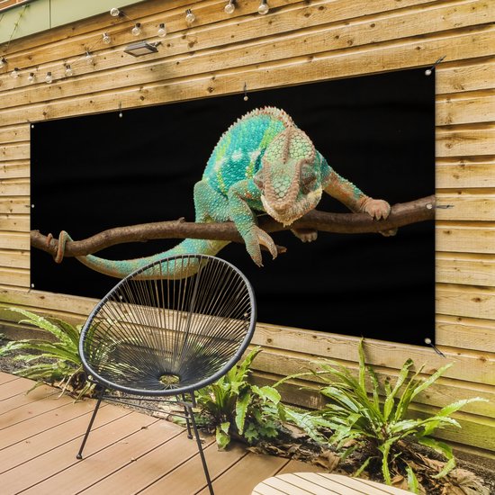 Affiche clôture Caméléon - Branche - Pastel - 200x100 cm - Toile de jardin
