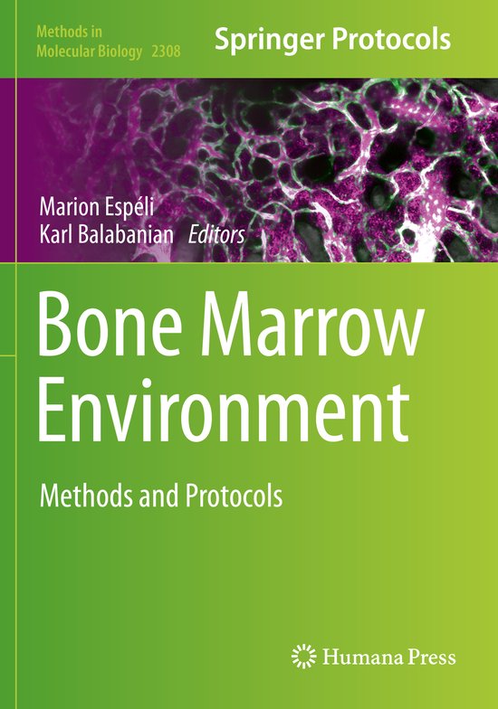 Bone Marrow Environment - cover