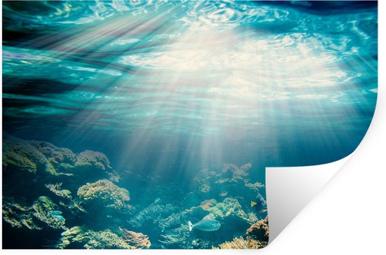 Stickers muraux - Film autocollant - Mer - Corail - Soleil - 90x60 cm - Film adhésif - Stickers muraux Chambre d'enfant - Papier peint autocollant