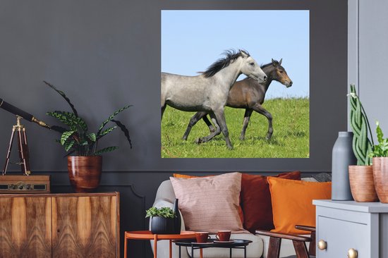 Stickers Stickers muraux - Paarden - Animaux - Herbe - 100x100 cm - Film Adhésif XXL