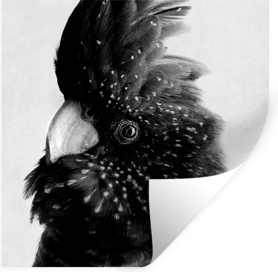 Muurstickers - Sticker Folie - Close-up van een kaketoe tegen een grijze achtergrond - zwart wit - 100x100 cm - Plakfolie - Muurstickers Kinderkamer - Zelfklevend Behang XXL - Zelfklevend behangpapier - Stickerfolie