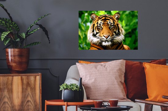 Sticker Muursticker Tigre - Jungle du tigre de Sumatra - 60x40 cm - film adhésif autocollant - sticker mural repositionnable