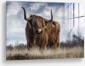 Wallfield™ - Muskox | Glasschilderij | Gehard glas | 40 x 60 cm | Dieren schilderijen | Hooglander Woonkamer / Slaapkamer Schilderij | Kleurrijk Landelijk | Modern / Industrieel | Magnetisch Ophangsysteem