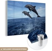 MuchoWow® Glasschilderij 60x40 cm - Schilderij acrylglas - Dolfijn - Zee - Dier - Foto op glas - Schilderijen