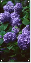 Tuinposter Duisternis om hortensia in een tuin - 40x80 cm - Wanddecoratie Buiten - Tuinposter - Tuindoek - Schuttingposter - Tuinschilderij