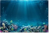Muurdecoratie Oceaan - Vis - Koraal - 180x120 cm - Tuinposter - Tuindoek - Buitenposter