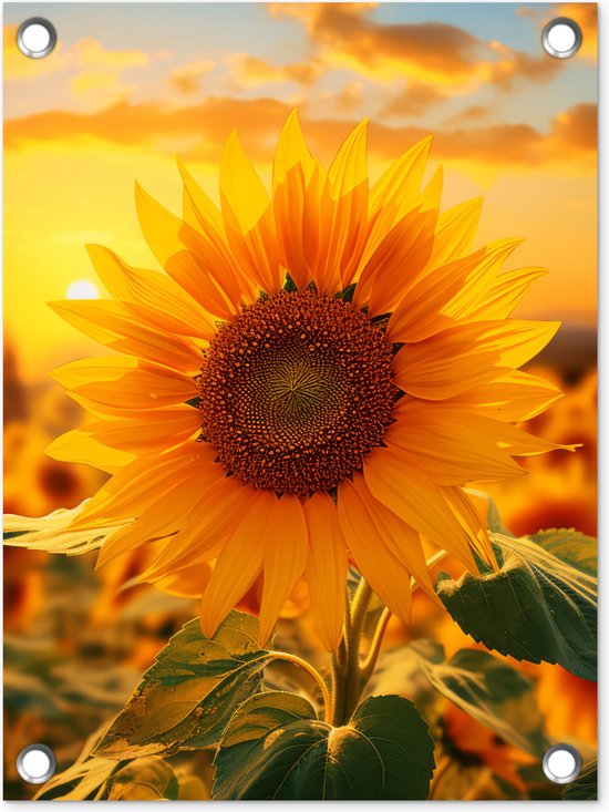 Tuinposter zonnebloem - Tuindecoratie bloemen - 30x40 cm - Wanddecoratie voor buiten - Schutting decoratie - Buitenposter geel - Schuttingdoek - Tuindoeken - Tuin doek - Balkon poster