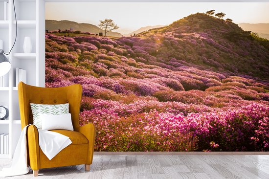 Papier peint photo peint photo vinyle - Paysage de bruyère vallonnée largeur 330 cm x hauteur 220 cm - Tirage photo sur papier peint (disponible en 7 tailles)