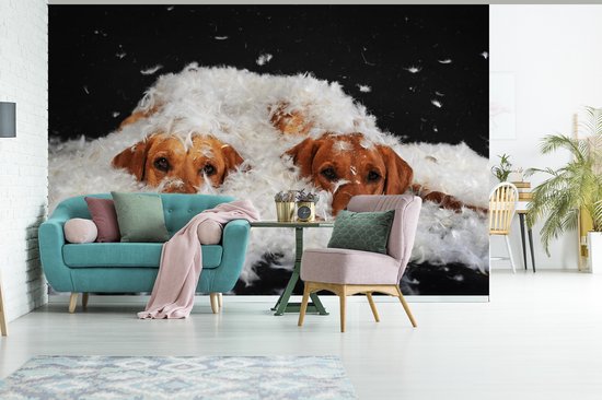 Papier peint photo peint photo vinyle - Labradors cachés entre les plumes largeur 390 cm x hauteur 260 cm - Tirage photo sur papier peint (disponible en 7 tailles)