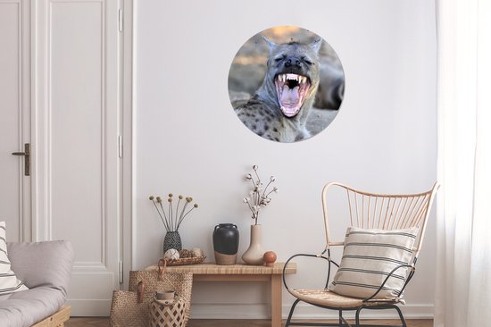 Une hyène bâillante en Afrique Cercle mural aluminium ⌀ 60 cm - impression photo sur cercle mural / cercle vivant / cercle de jardin (décoration murale)