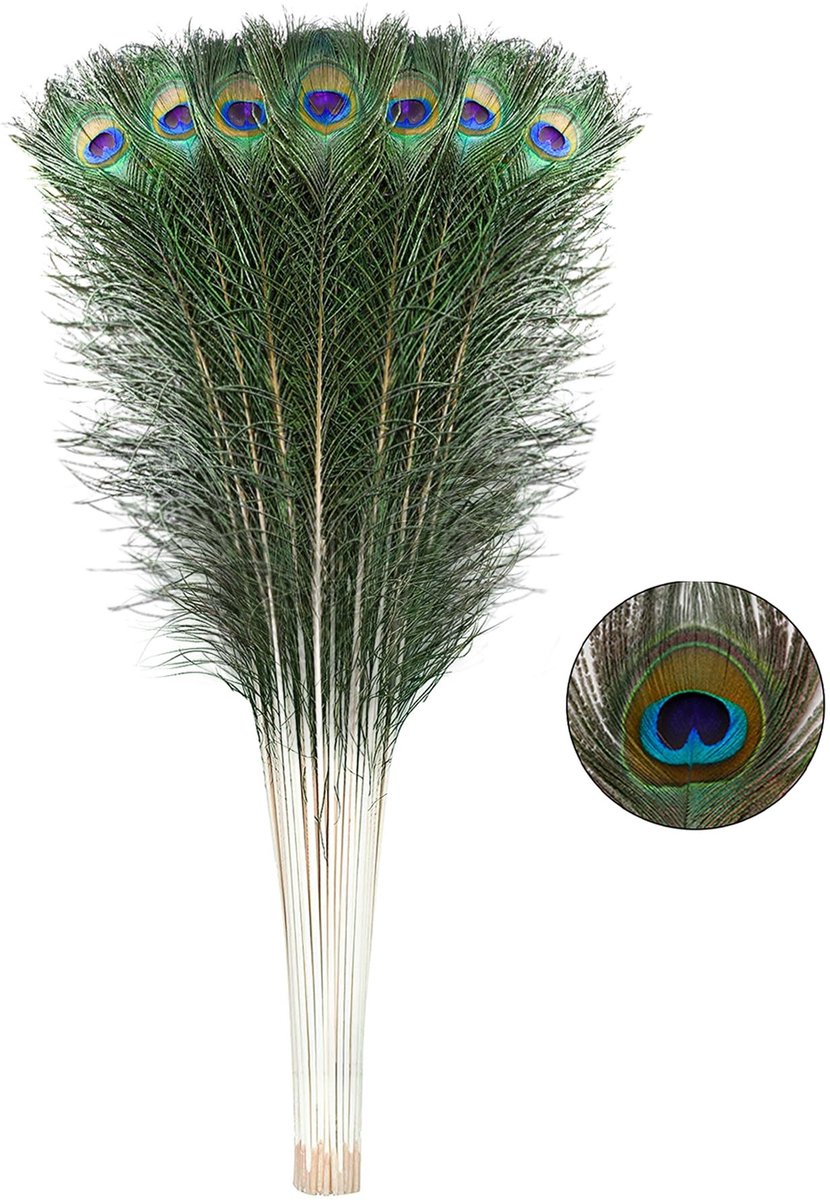 Solidchoice - Natuurlijke Pauwenveren 20 Stuks voor Decoratie