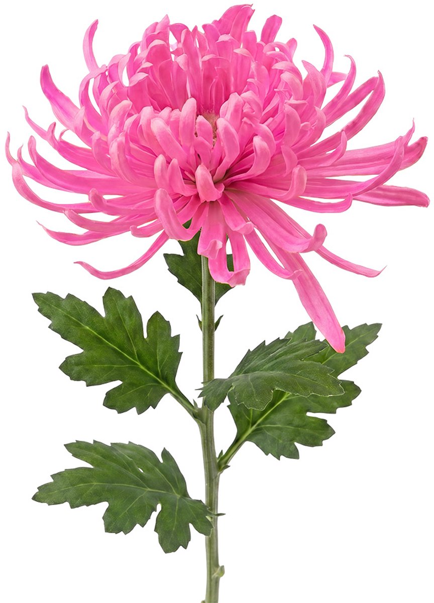 Clayre & Eef Kunstbloem Roze Kunststof