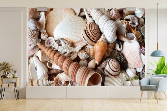Papier Peint - Papiers Papier peint photo Coquillages - Plage - Collection - Largeur 450 cm x Hauteur 300 cm