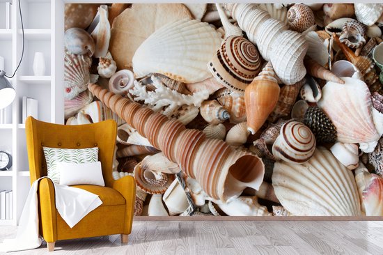 Papier Peint - Papiers Papier peint photo Coquillages - Plage - Collection - Largeur 450 cm x Hauteur 300 cm