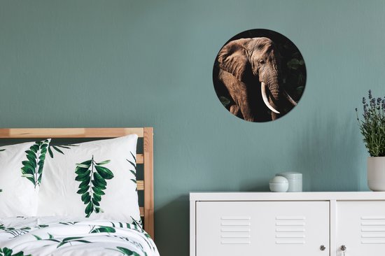 Cercle mural - Aluminium - Éléphant - Animaux - Dents - ⌀ 30 cm
