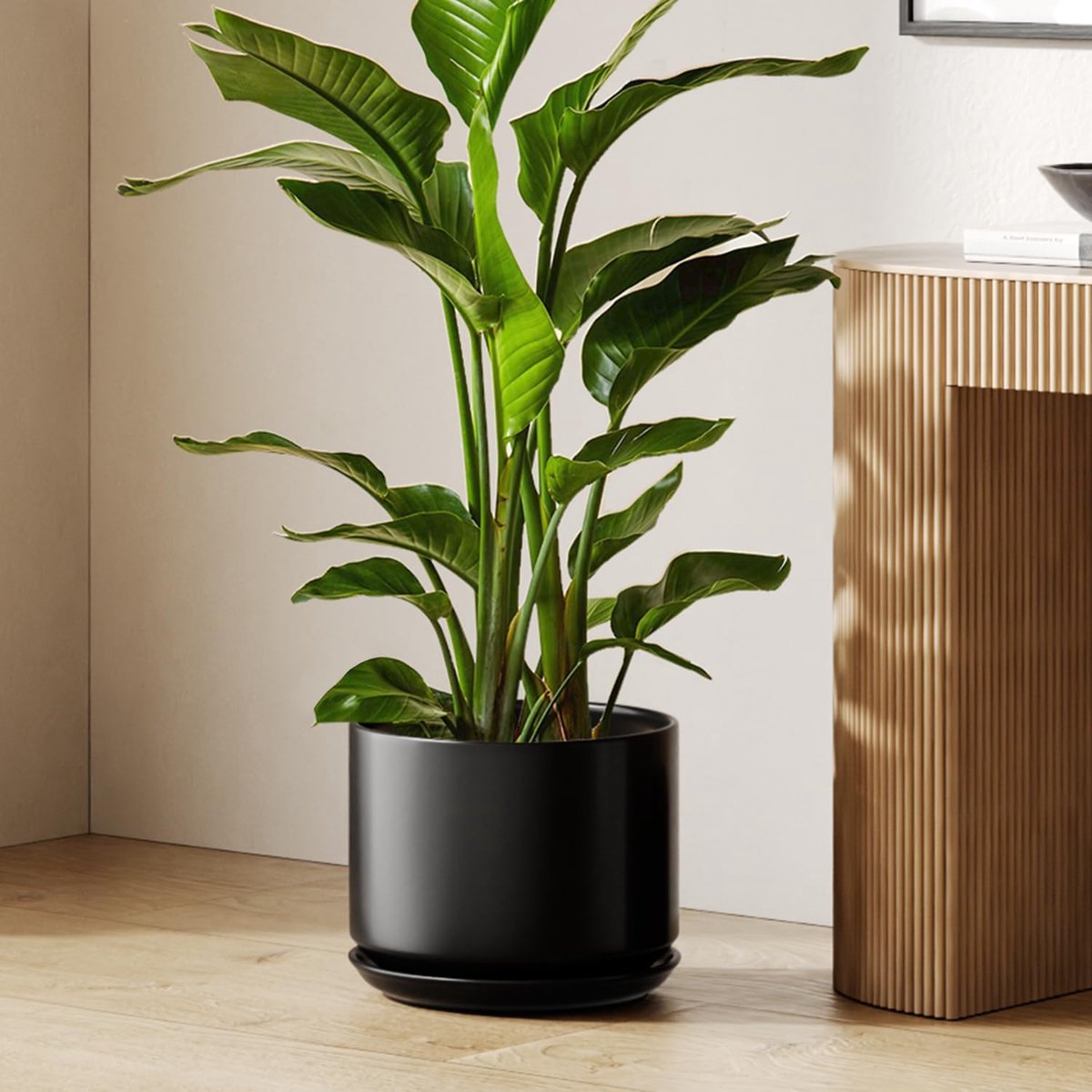 TAUCI Keramische Bloempot 30 cm, Plantenpot met Afwateringsgat en Schotel, Modern Minimalistisch Design, voor Sansevieria, Monstera en Decoratie, Zwart