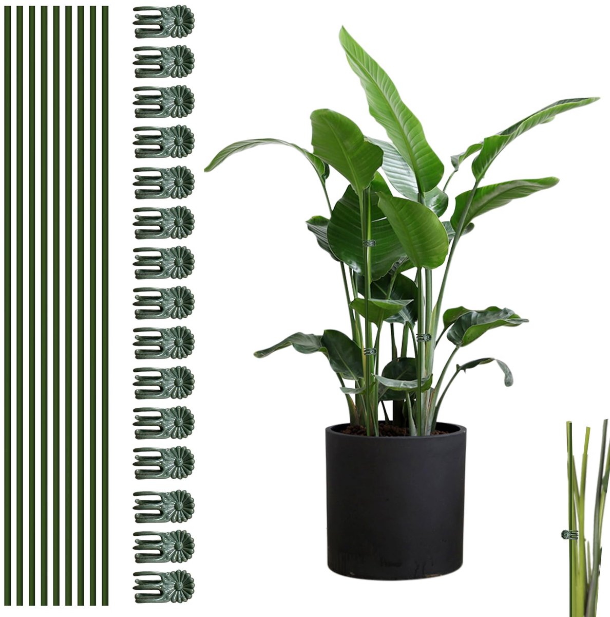25cs Plantenstandaard Stakes, Stakes voor binnen en buiten, 40,6 cm grote enkele stok orchidee sticks en clips set met plantenclips voor Peony roze-groen