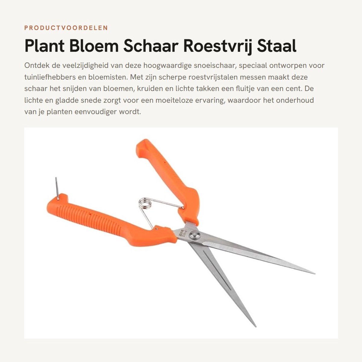 Dailygoods- Snoeischaar Ergonomisch - Roestvrij Staal - Antislip Handgreep - Voor Bloemen/Kruiden - Hoogwaardige Snede - Lichtgewicht Ontwerp - Tuinschaar