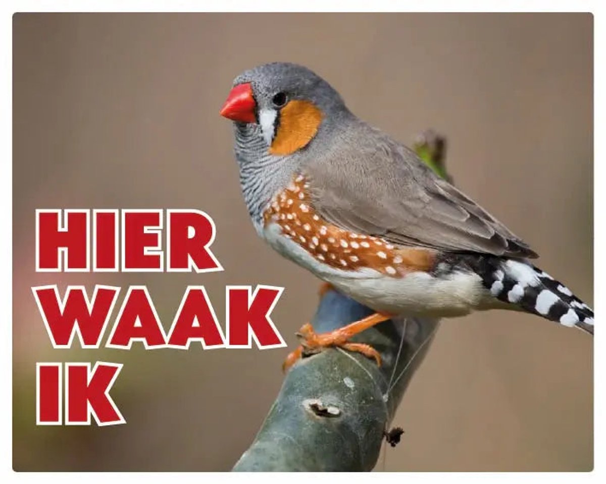 Zebravink Waakbord - Hier Waak Ik