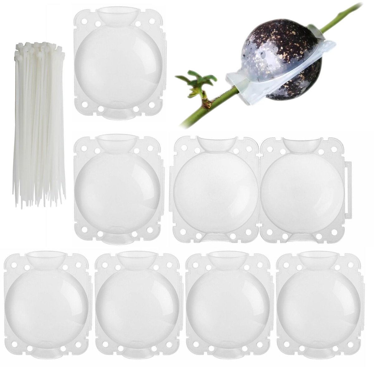 6 stuks groeibox voor binnen en buiten, 8 cm plantenwortelgroeibox, 250 ml plantenwortelapparaat, groeibox plant wortelbal, plantenwortelballen, voor tuinenten en wortelvorming