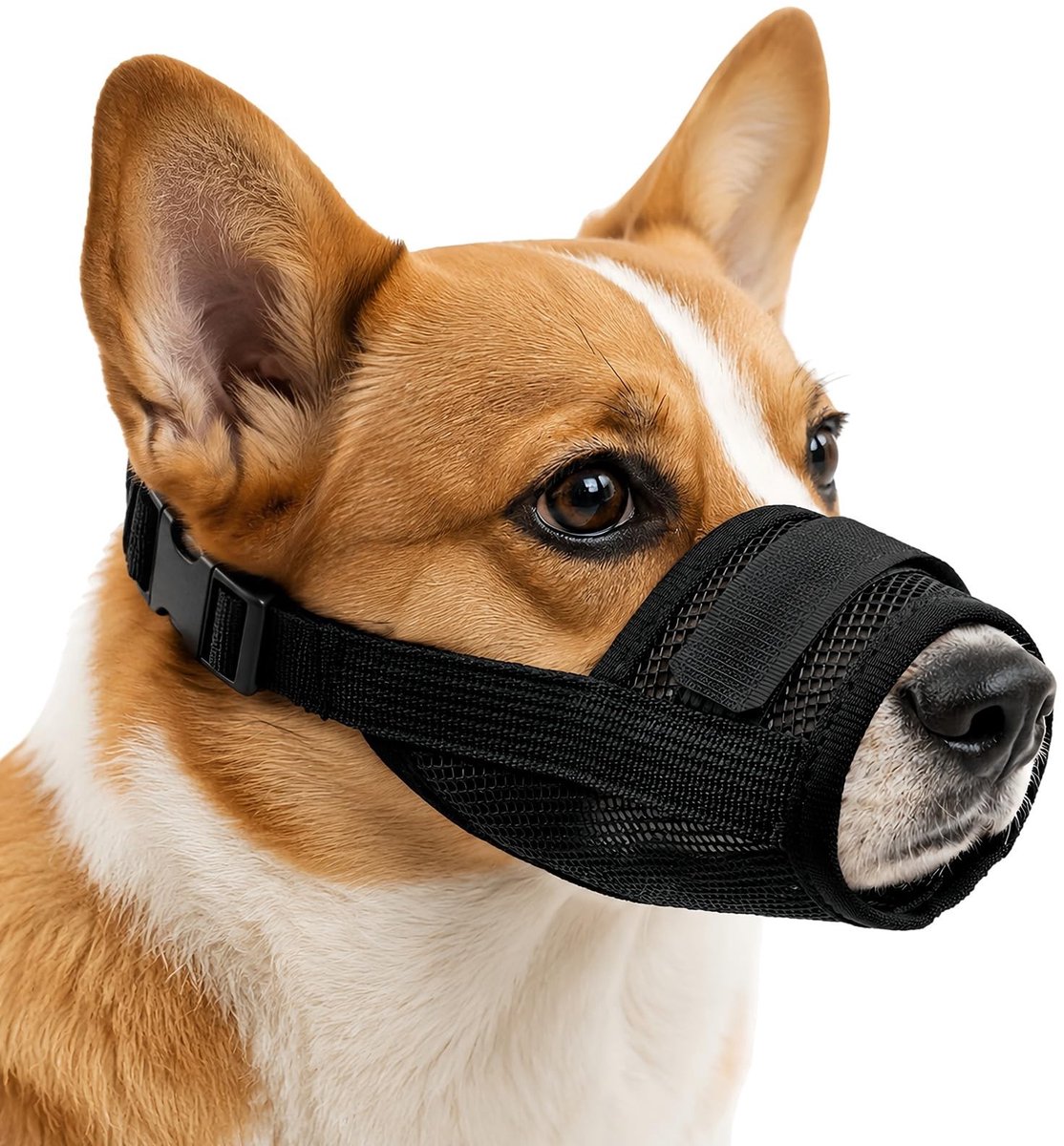 SolidKeus - Ademend Nylon Muilkorf voor Kleine Honden