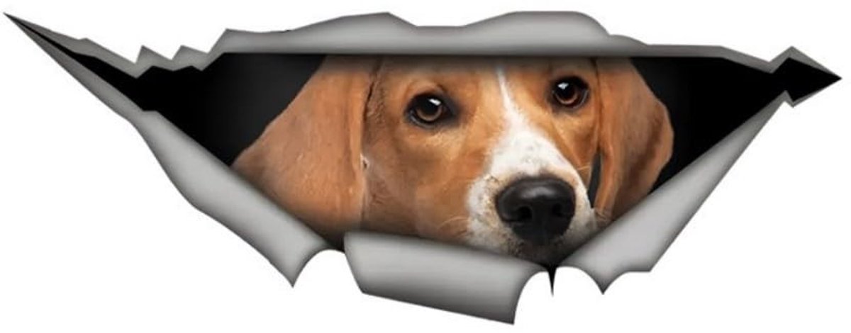 SolidKeus - 3D Beagle Hondenstickers voor Auto en Laptop