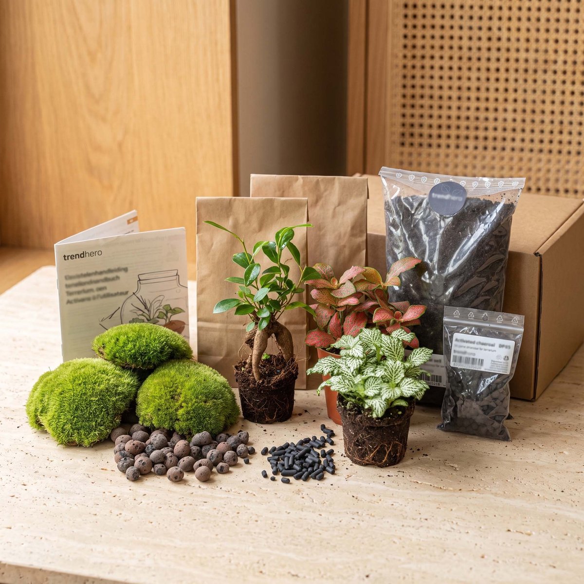 Planten terrarium pakket - Ficus ginseng bonsai - 3 terrarium planten - Startpakket - Navulling - DIY Ecosysteem Planten Set | Inclusief Planten - Substraat - Terrarium potgrond - Bolmos - Actieve kool - Handleiding en tips | urbanjngl
