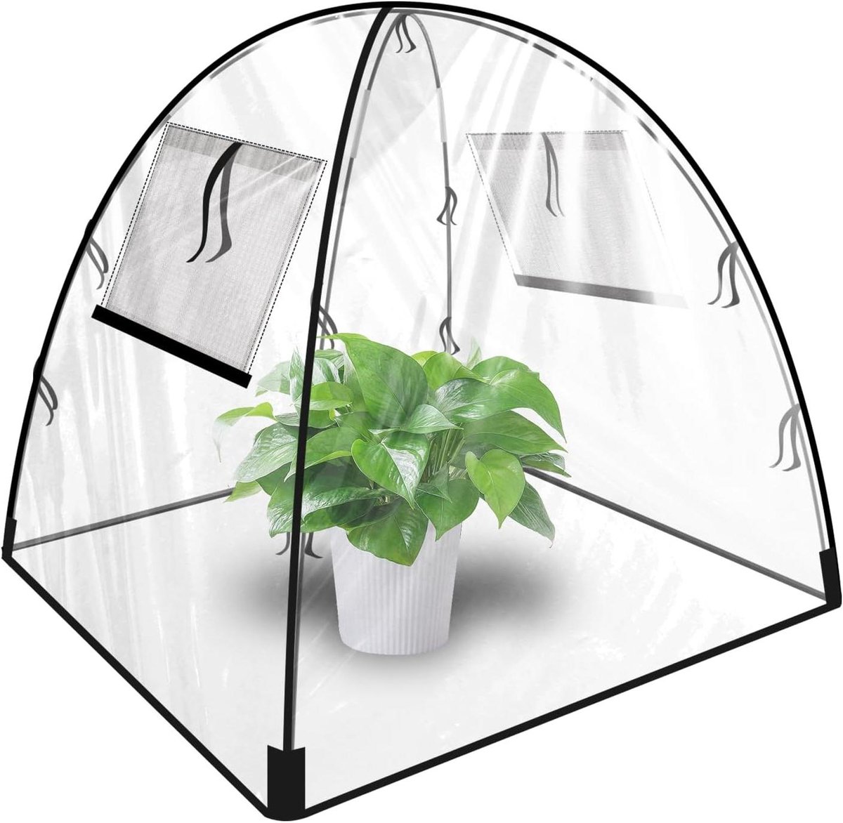 Mini Kas - Plantentent Beschermhoes - Planten Beschermen - Pop Up Ontwerp - 56x56x56 cm - Transparant
