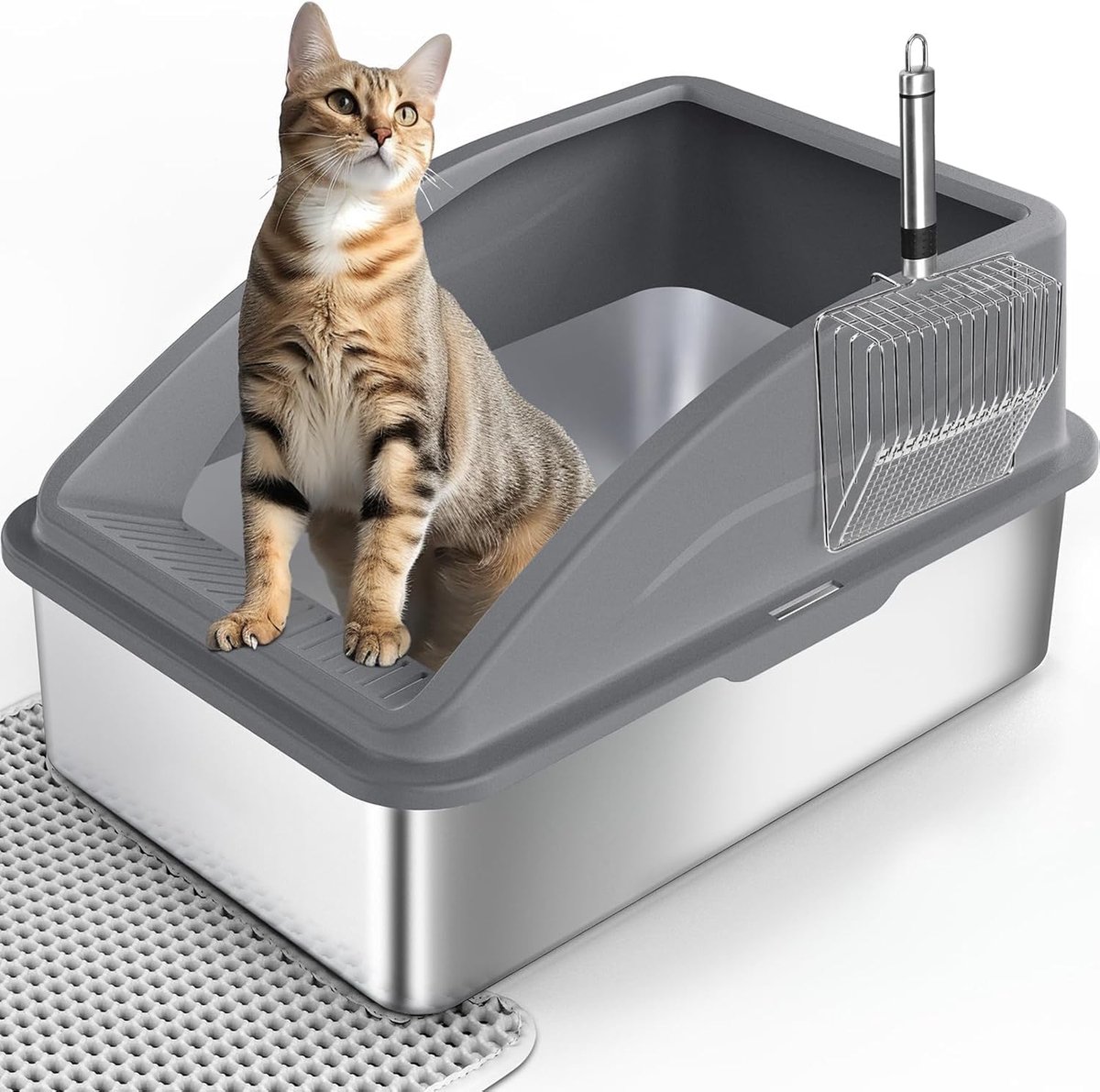 Kattenbak van roestvrij staal, XXL, 30 liter, kattenbak, groot met kattenbakschep en dubbellaagse mat, lekvrij, XXL kattenbak, 58 x 37 x 28,5 cm