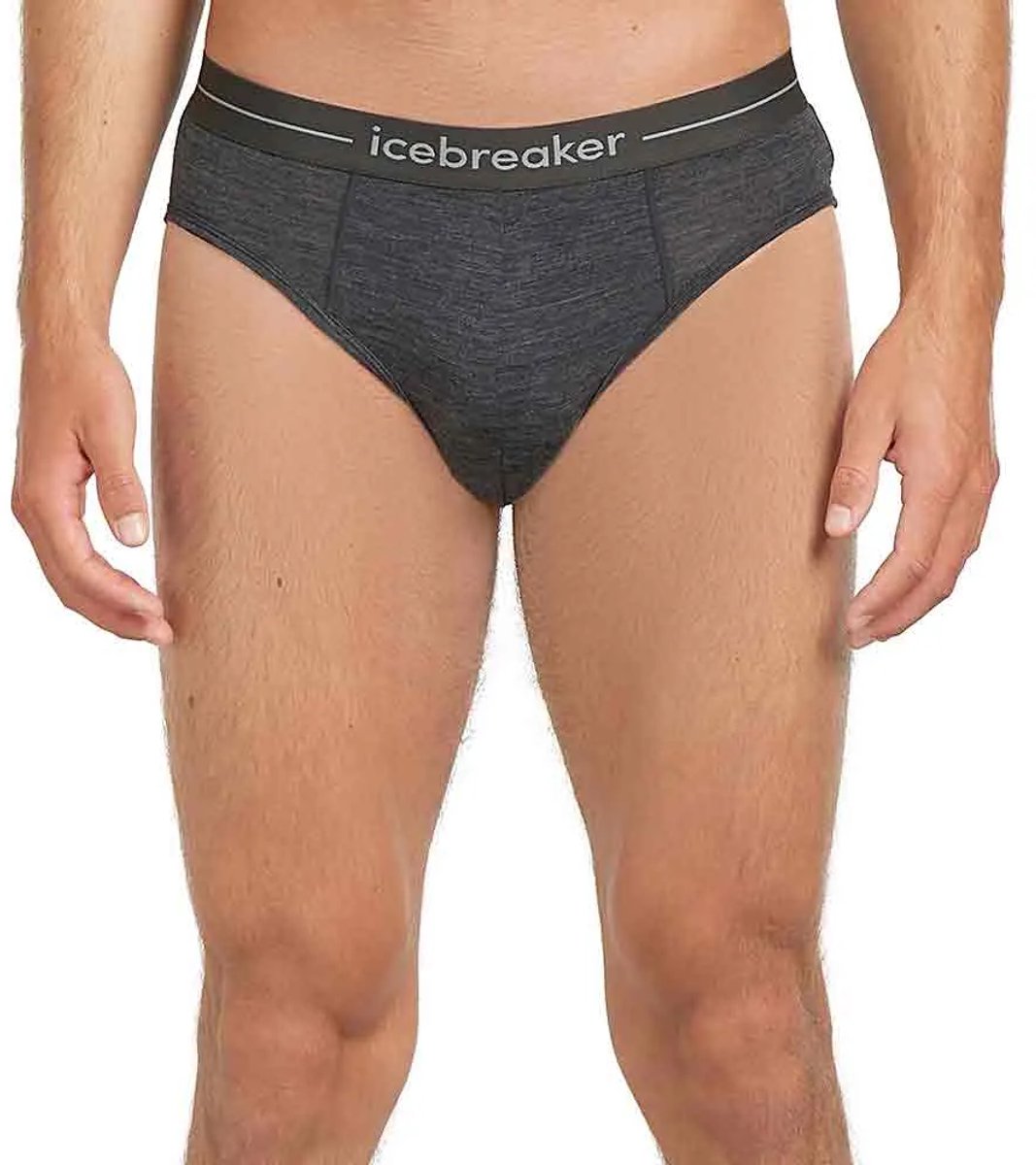 Icebreaker Merino 150 Anatomica Slips Grijs XL Man