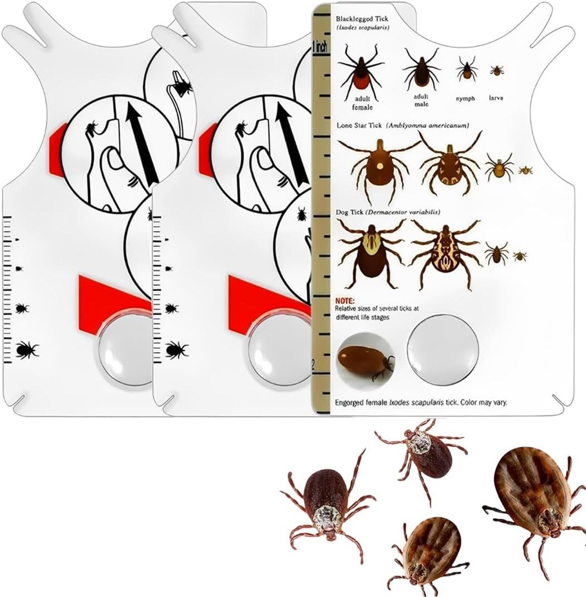 Tick Cards voor Mensen, Honden, Katten en Kinderen met Vergrootglas - Snelle en Veilige Teekverwijdering voor Huisdieren en Mensen
