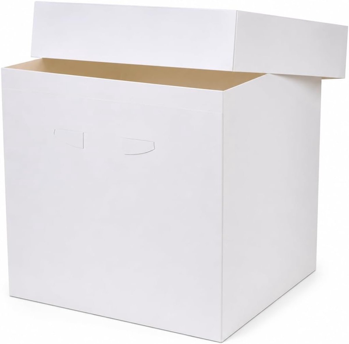Opbergdozen Met Deksel - Verhuisdozen Bakken - Taart Transport - Lichtgewicht Karton - 25 Stuks 254mm - Wit