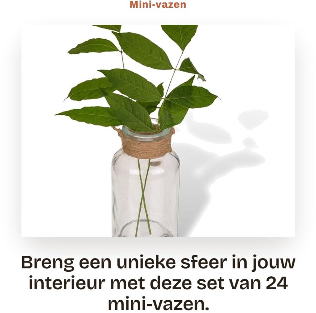Dailygoods- Bloemenvaas Set van 24 - Glazen Vazen - Decoratieve Flessen - Tafelvaas - Jute Koord - 10 x Ø 5,5 cm - Decoratieve Vaas
