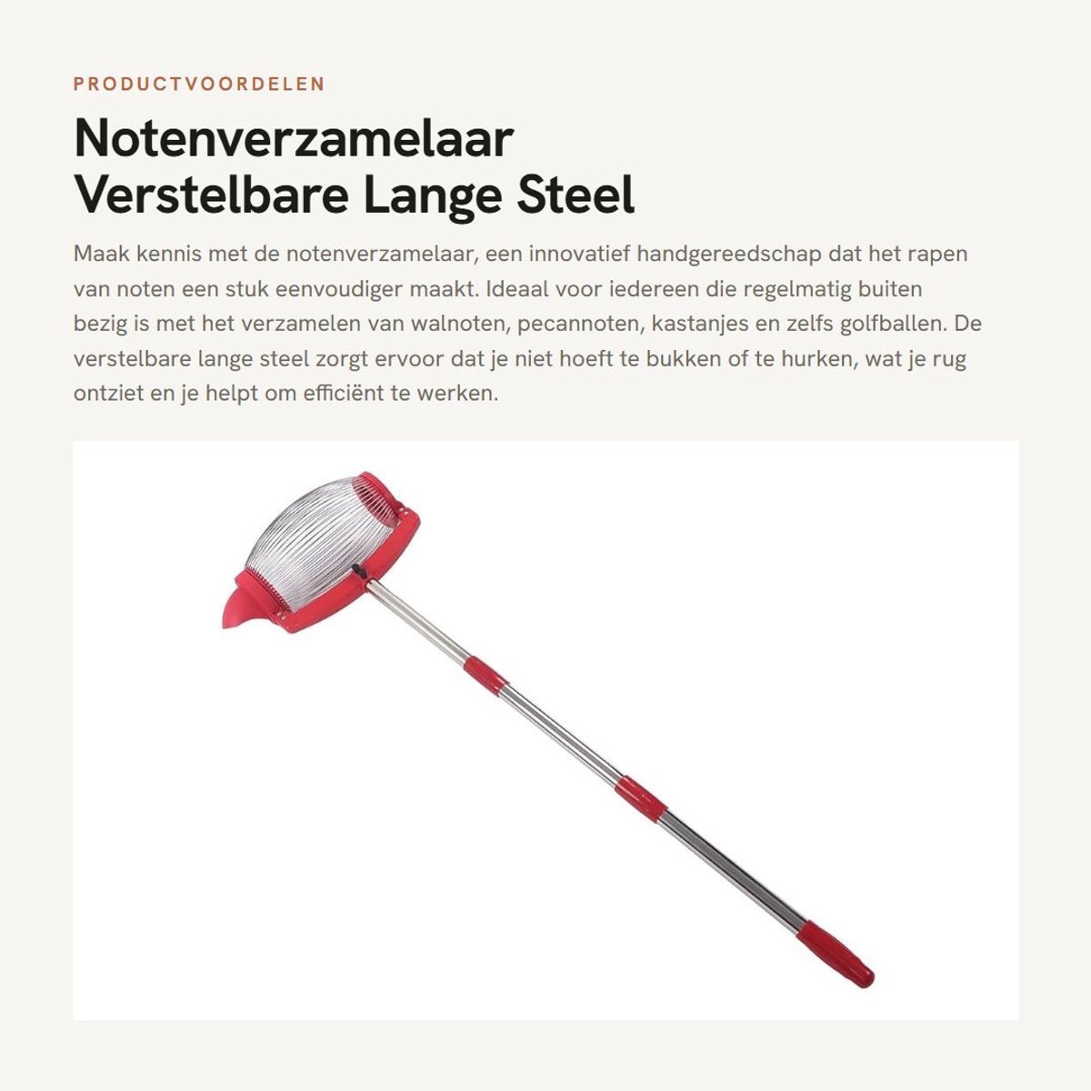 Dailygoods- Notenverzamelaar Verstelbare Lange Steel - Noten Picker - Handgereedschap - Efficiënt Noten Rapen - Geschikt voor Walnoten/Kastanjes - Arbeidsbesparend - Notenroller