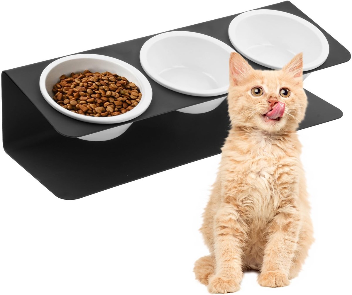 Dailygoods - Kattenvoerbak, verhoogde hond, 3 keramische kommen, 250 ml, met 15° hellende metalen standaard, drinkbakken voor water en voer, verhoogde borden voor puppy's, kittens, anti-medium, zwart
