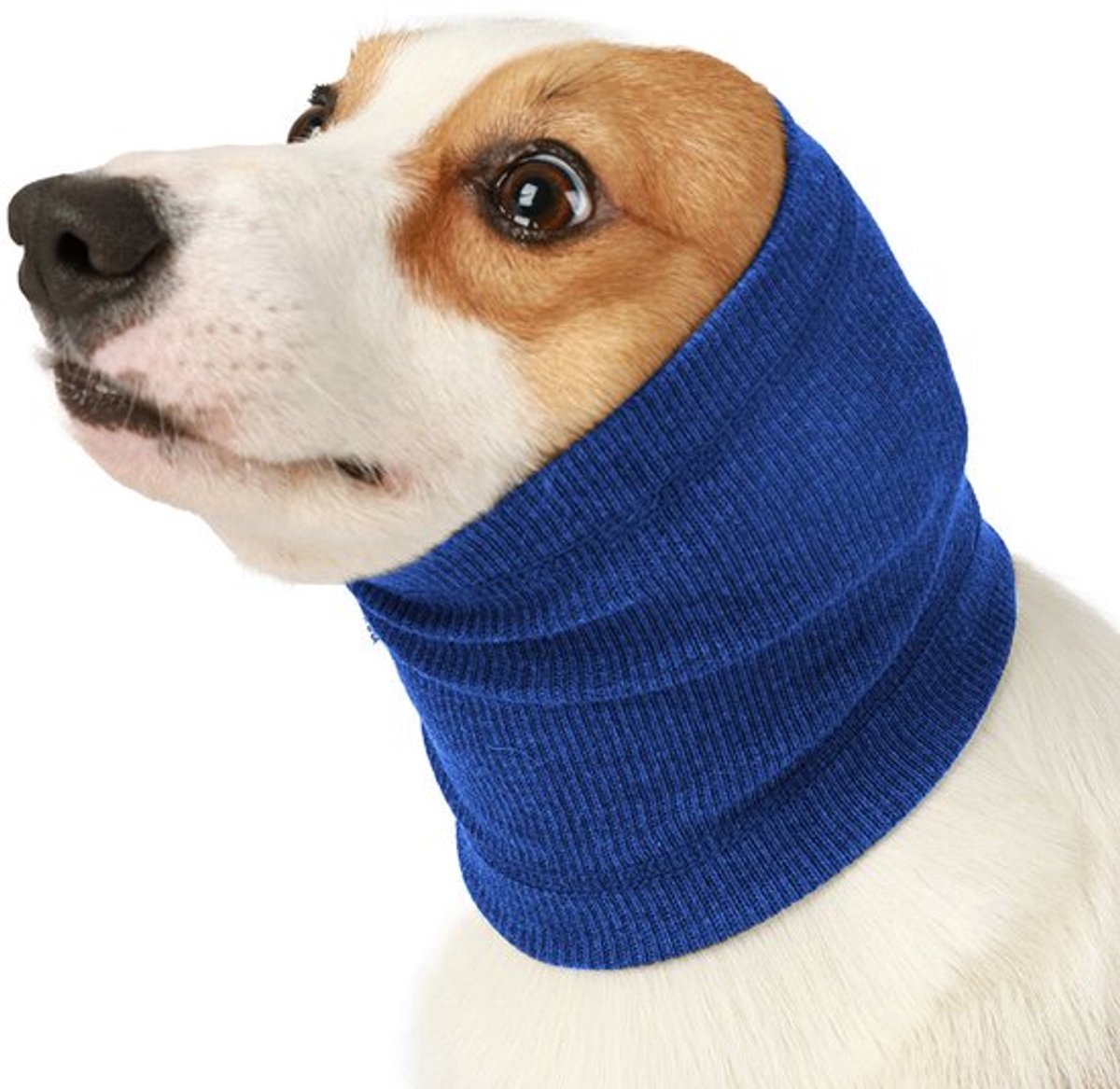 Twee-pack, maat L, blauwe halsband voor huisdieren, hondenkopkegel, warm, hondenhalsband