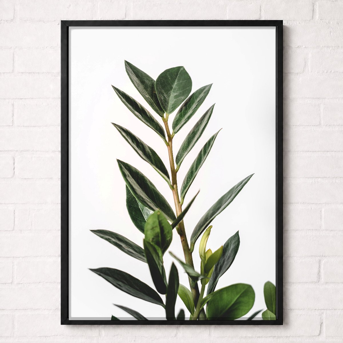 Botanische Olijftak Poster - Botanical Nature Collection - Natuur Posters - A2+ 43,2 x 61 cm