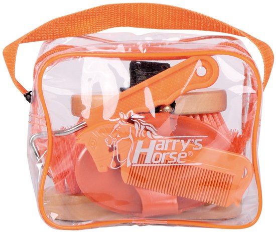 Transparante tas met oranje poetsspullen: borstel, kam, hoevenkrabber, spons en meer.