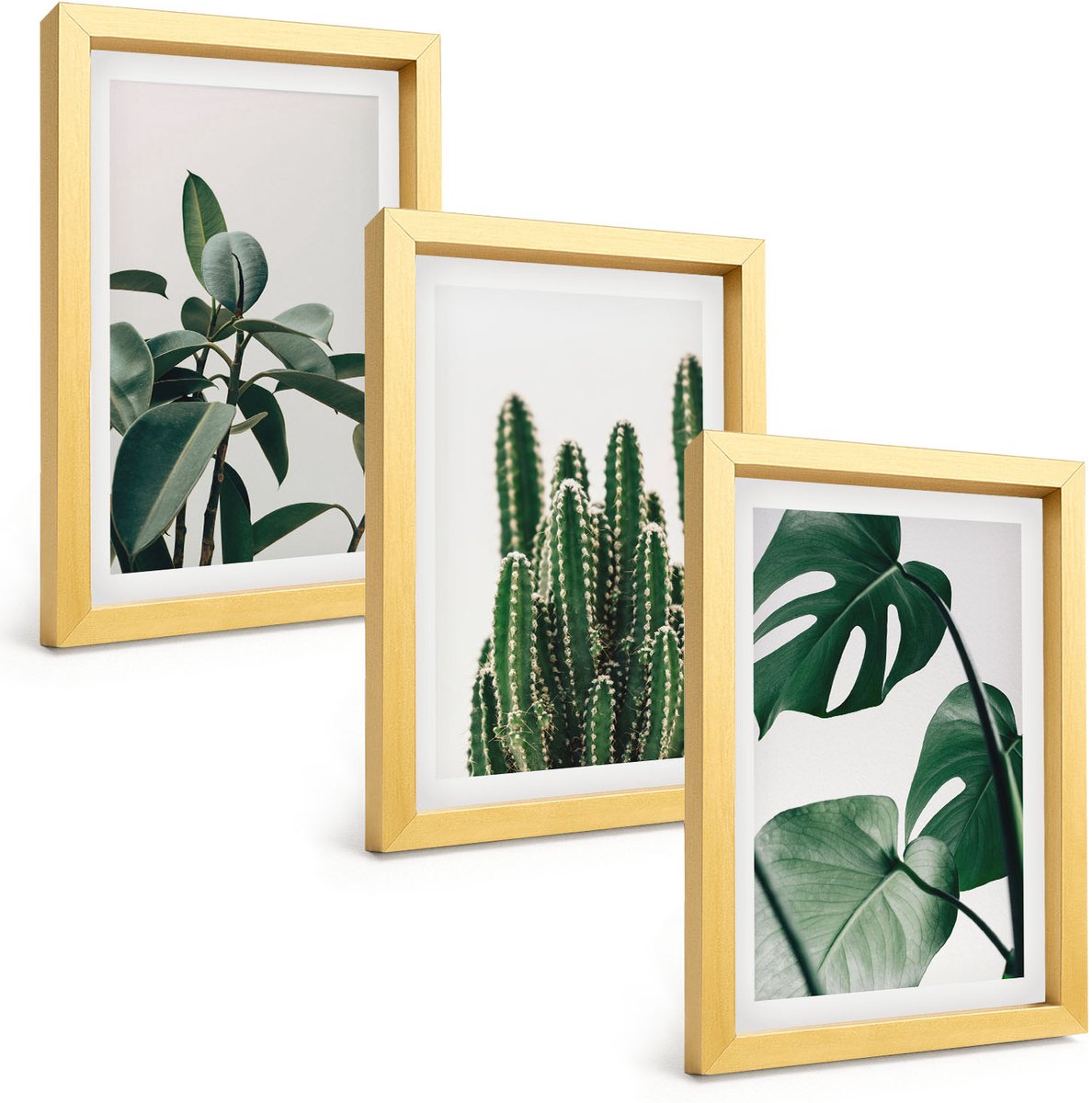 TULUP 4-Delige Schilderij Set - Tropische kamerplanten met esthetische bladeren - 20 x 30 cm - Stijlvolle Muurdecoratie - Kantoor Gouden lijst