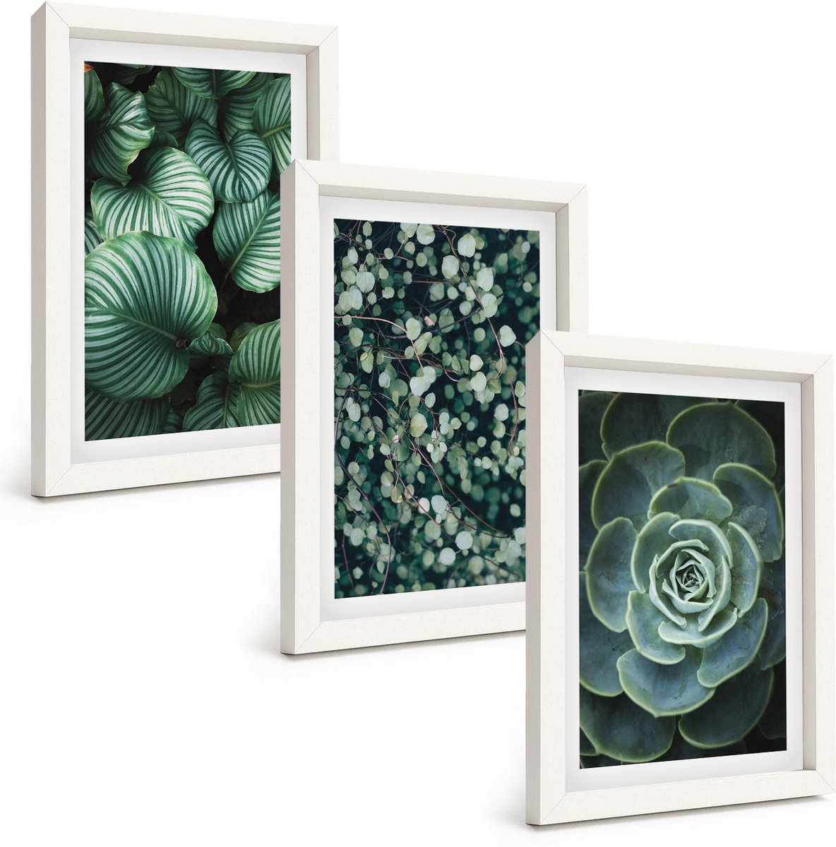 Tulup 3-Delige Schilderij Set - Groene bladplanten en stijlvolle vetplanten - 20x30 - Decoratieve Schilderijen - Woonkamer - Interieur - Stijlvolle Muurdecoratie