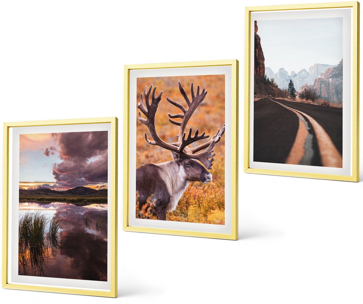 Coloray 3-Delige Schilderij Set - Heldere Texturen, Penseelstreken En Design. - 40 x 60 cm - Muurdecoratie - Schilderijen Set - Woonkamer - Moderne Wanddecoratie
