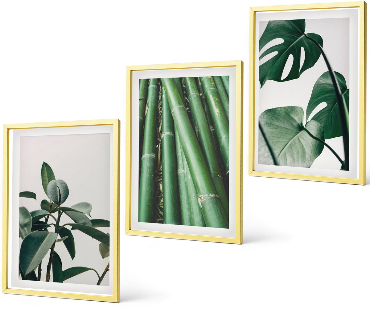 Coloray 3-Delige Schilderij Set - Inscriptie Op Bamboestengels En Monstera-Bladeren - 40 x 40 cm En 40 x 60 cm - Schilderijen Set - Wanddecoratie - Woonkamer - Muurdecoratie