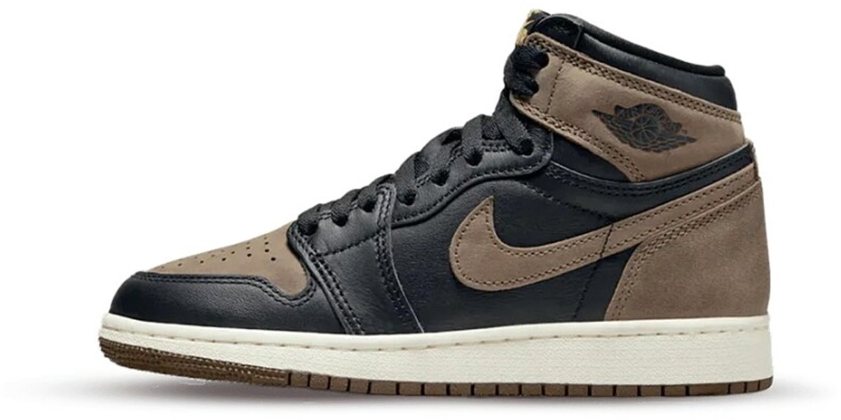 Air Jordan 1 Retro High OG 'Palomino' (GS) - Maat 40