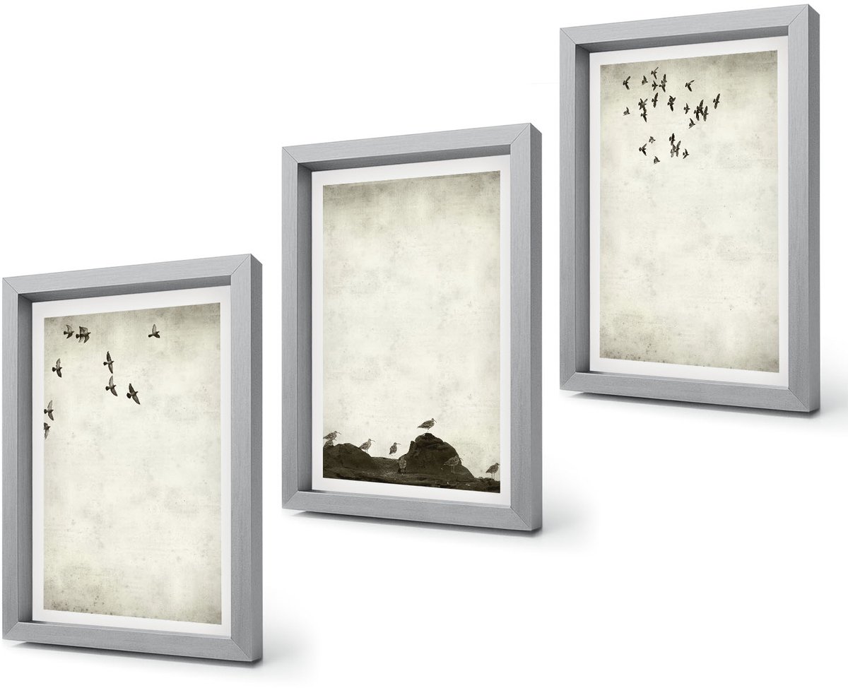 Coloray 4-Delige Schilderij Set - Vliegende zwerm vogels in minimalistische stijl - 20 x 30 cm - Schilderijen Set - Wanddecoratie - Woonkamer - Moderne Wanddecoratie Zilveren lijst