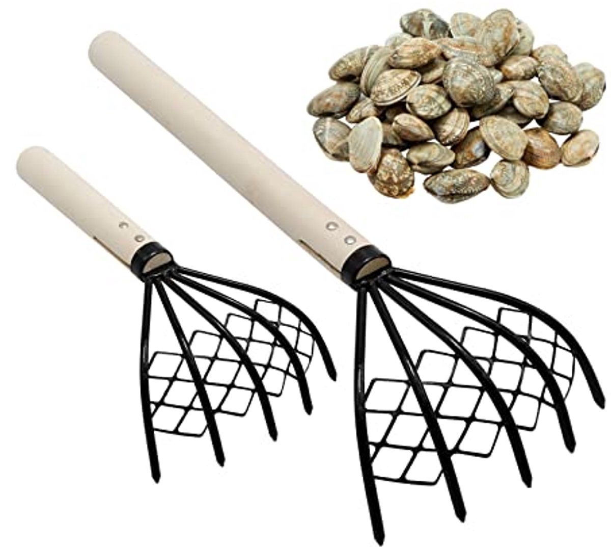 2‑stuks klauwschraapgereedschap - stevige handhark - voor het graven van schelpdieren op het strand - roestbestendig - comfortabele greep