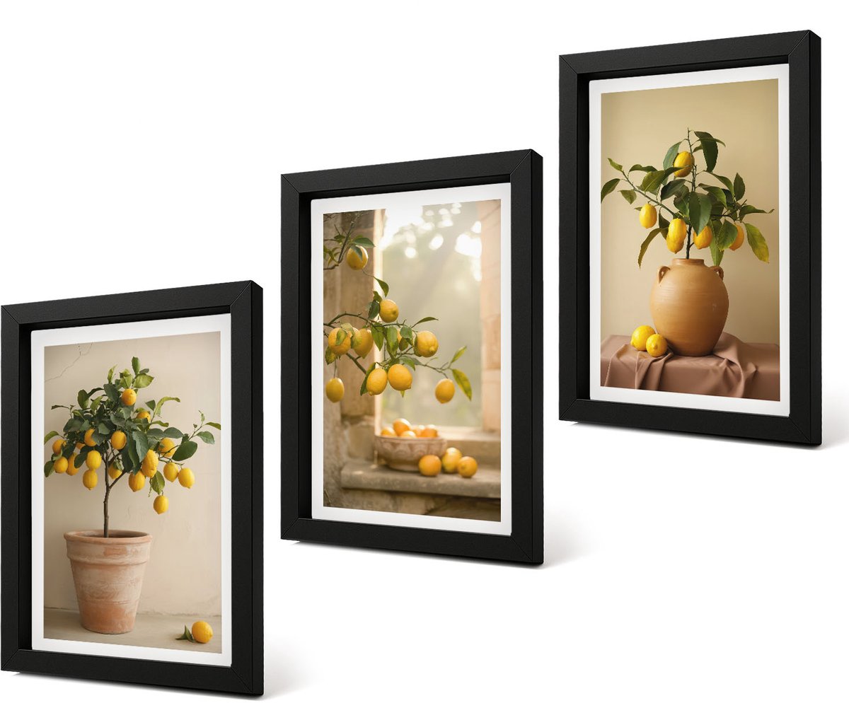 Coloray 4-Delige Schilderij Set - Citroenbomen in potten en op de vensterbank - 20 x 30 cm - Wanddecoratie - Schilderijen Set - Interieur - Interieur Decoratie