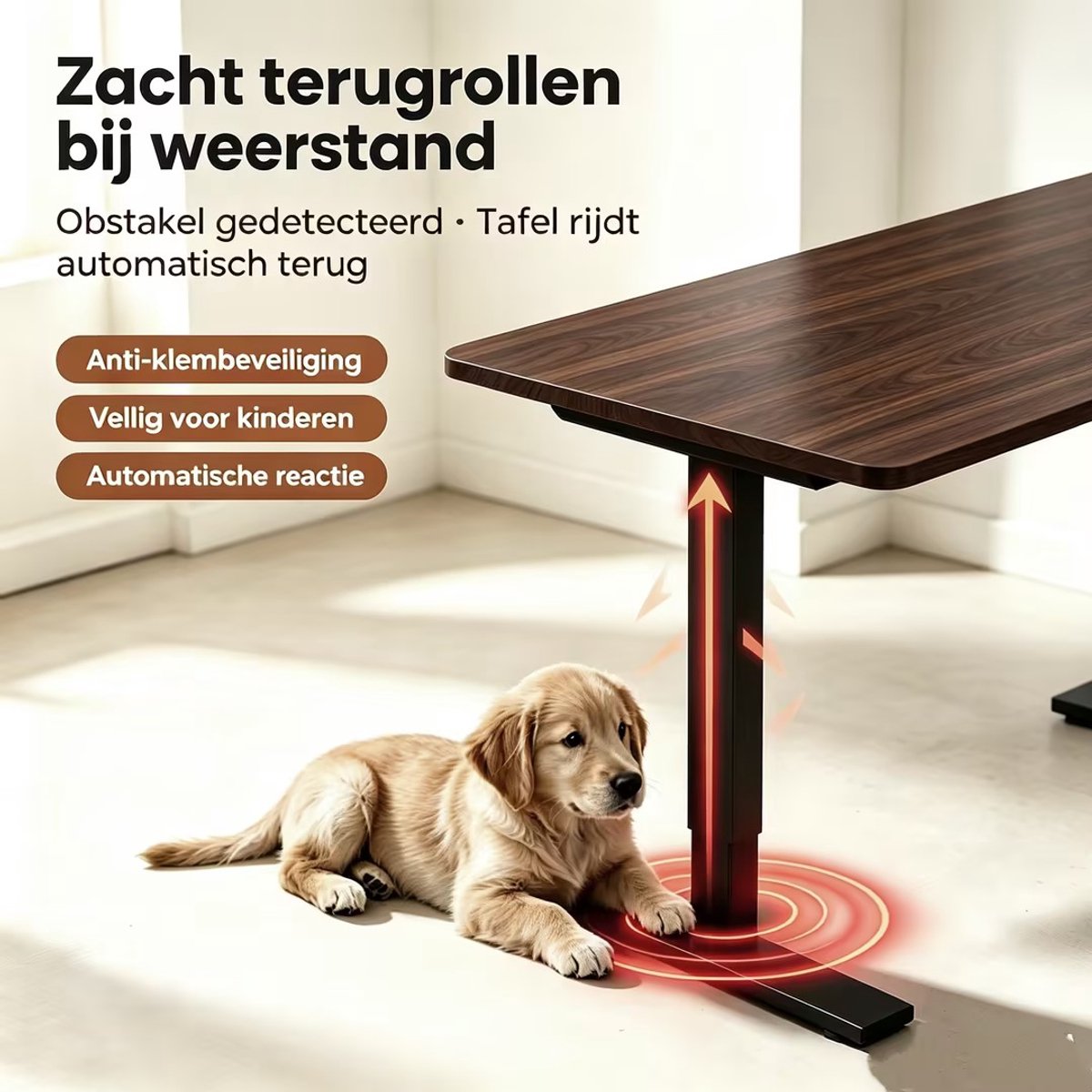 HOMAVO Elektrisch Zit-Sta bureau 80 x 180 cm - In Hoogte Verstelbaar - Geheugenfunctie - Antibotsingssysteem - USB-A/USB-C – Houtkleur thumbnail 2