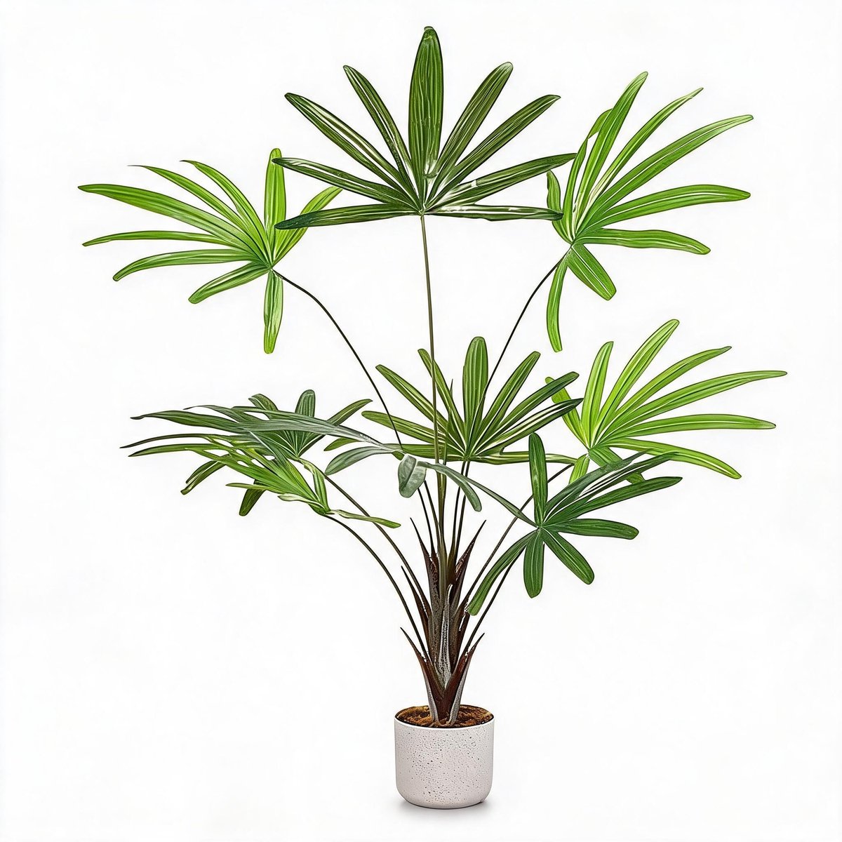 Triumpunpre - Kunst Tropische Vingerpalm - 100cm, duurzame PEVA bladeren, stabiele pot voor zakelijk binnen en overdekt buiten