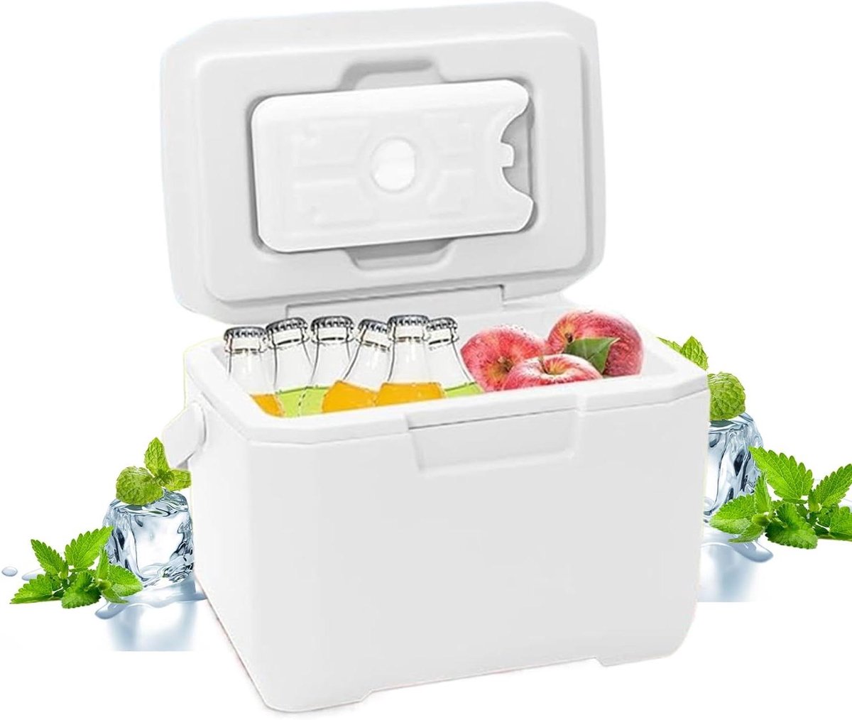 Kleine Koelbox - Isolerende Koeler - Outdoor Avonturen - Lekvrij Ontwerp - 6 Liter - Niet gespecificeerd