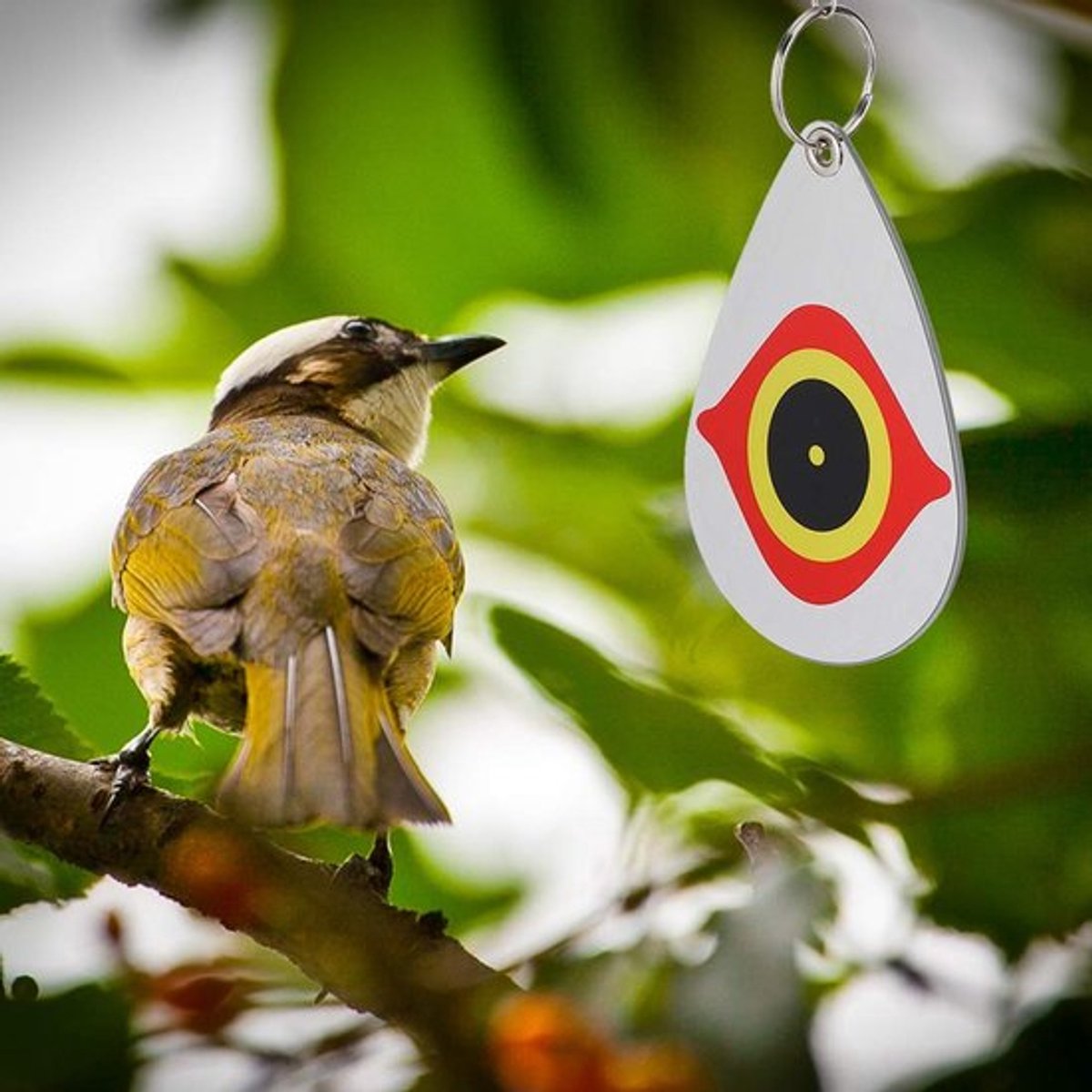 Ophangmateriaal Vogelafschrikker - PVC Vogelafschrikker - Duurzaam Afschrikmateriaal - Multifunctionele Boomgaarddecoratie - Effectieve Tuinbescherming - Geschikt voor Balkon en Fruitbomen